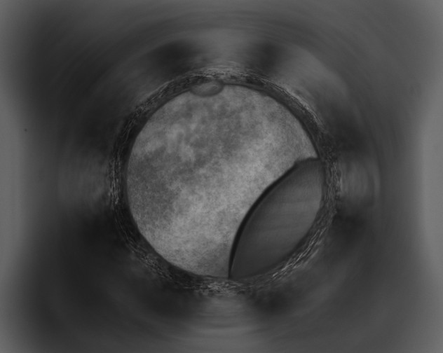 X0000095671015200801291132