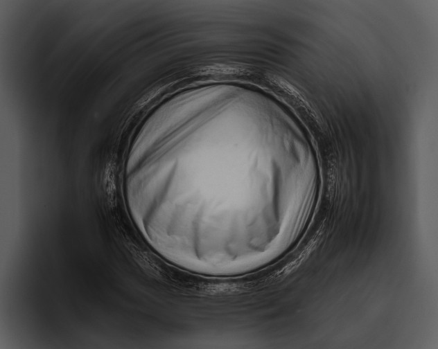 X0000095671017200801291132