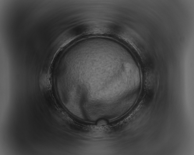 X0000095671018200801291132