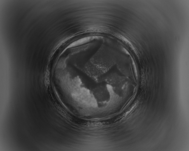 X0000095671019200801291132