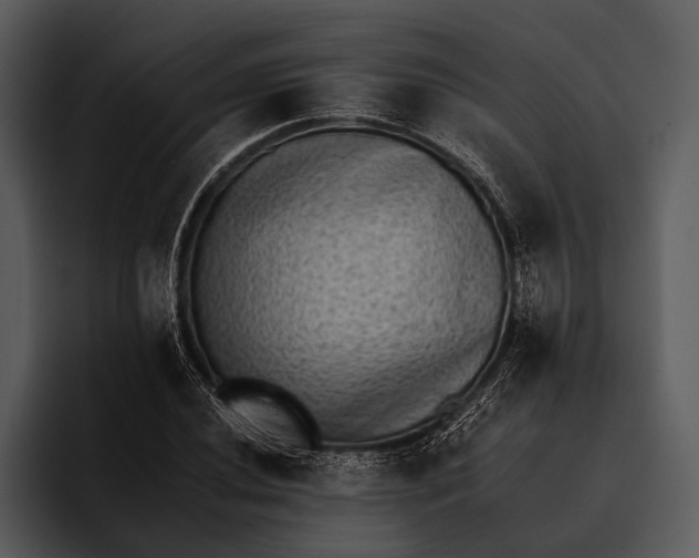 X0000095671020200801291132