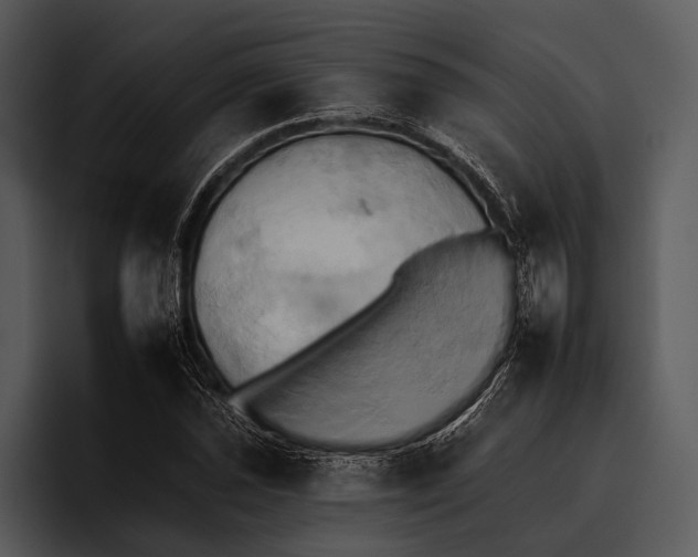 X0000095671021200801291132