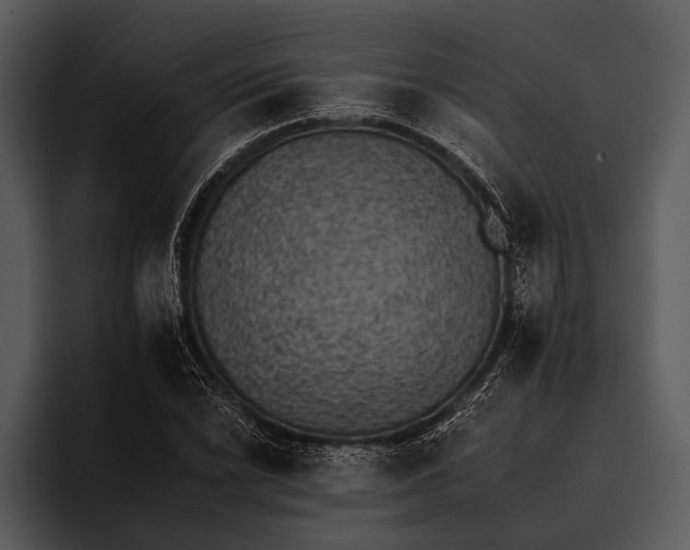 X0000095671022200801291132