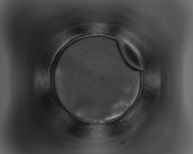 X0000095671023200801291132