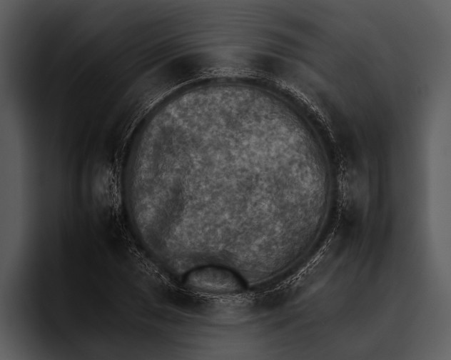 X0000095671025200801291132