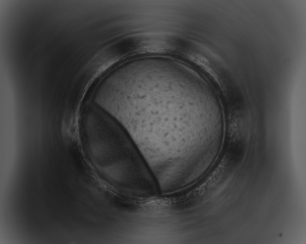 X0000095671026200801291132