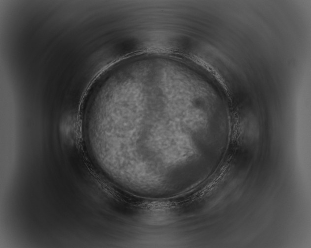 X0000095671027200801291132