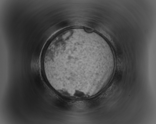 X0000095671028200801291132