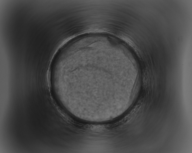 X0000095671030200801291132