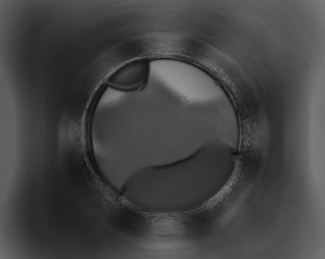 X0000095671031200801291132