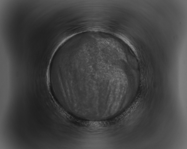 X0000095671032200801291133