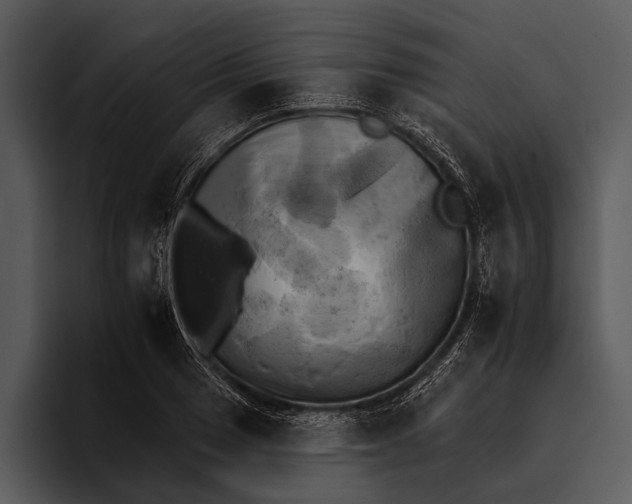 X0000095671033200801291133