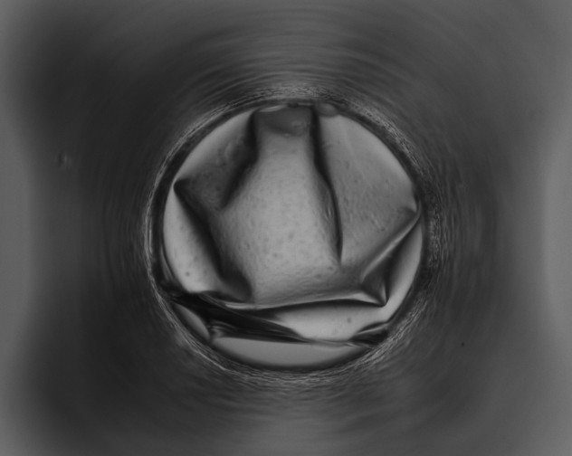 X0000095671034200801291133