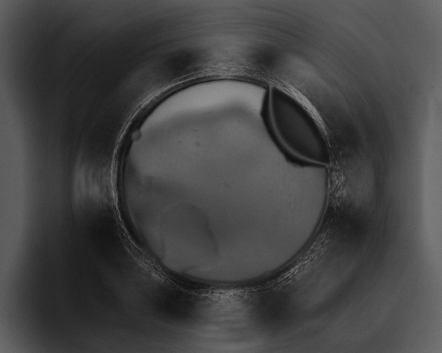 X0000095671035200801291133