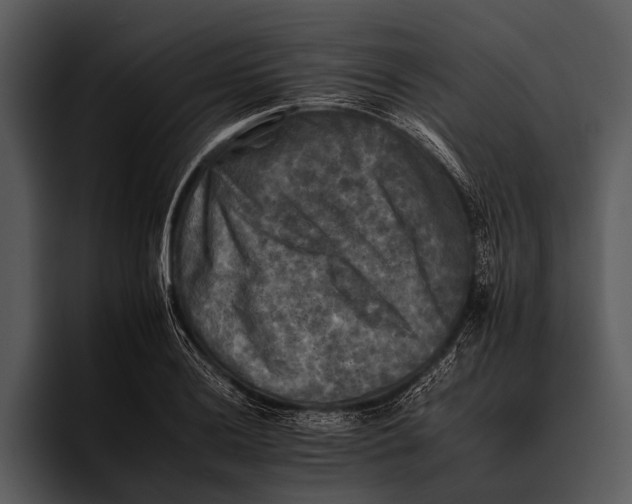 X0000095671036200801291133