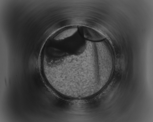 X0000095671037200801291133