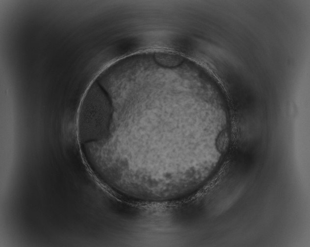 X0000095671038200801291133