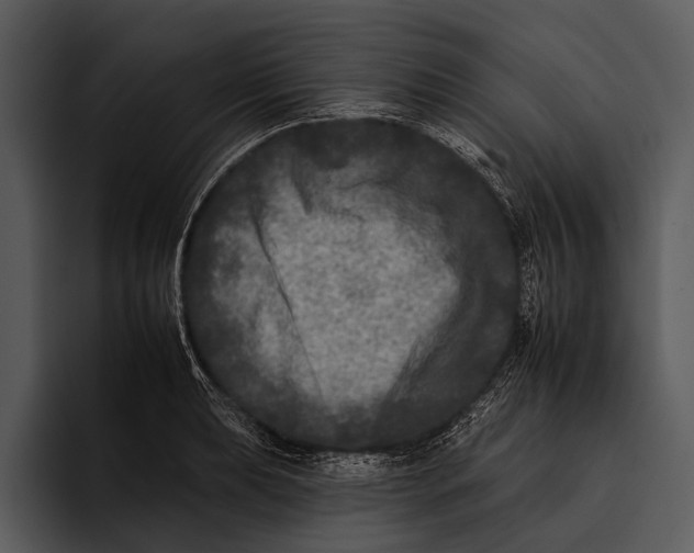 X0000095671039200801291133