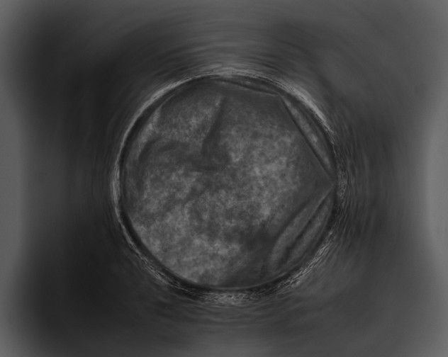 X0000095671040200801291133