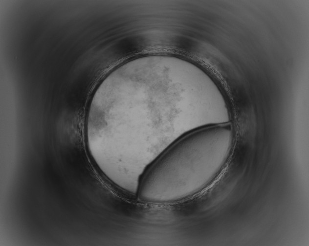 X0000095671041200801291133