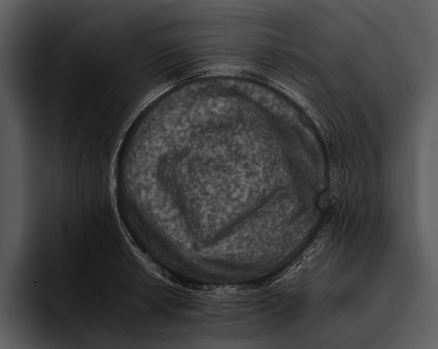 X0000095671042200801291133