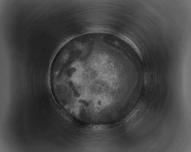 X0000095671043200801291133