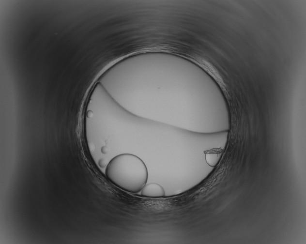 X0000095671044200801291133