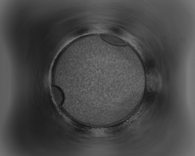 X0000095671046200801291133