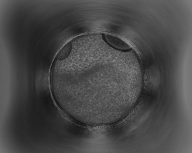 X0000095671047200801291133