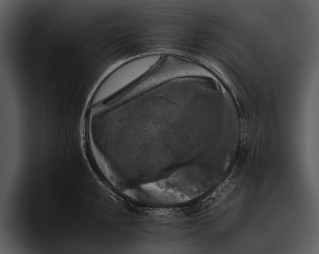 X0000095671048200801291133