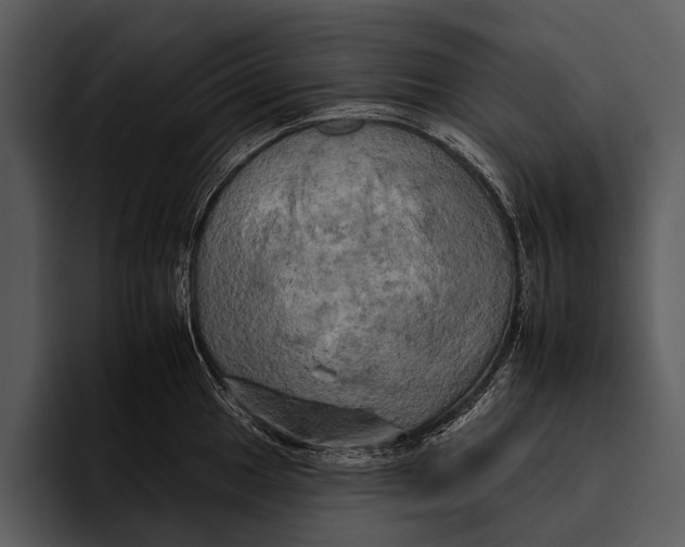 X0000095671049200801291133