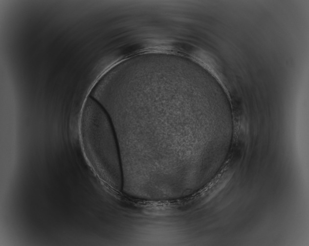 X0000095671050200801291133