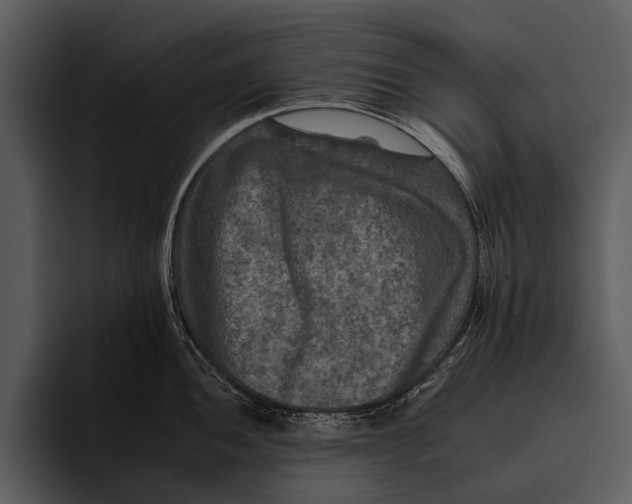 X0000095671052200801291133