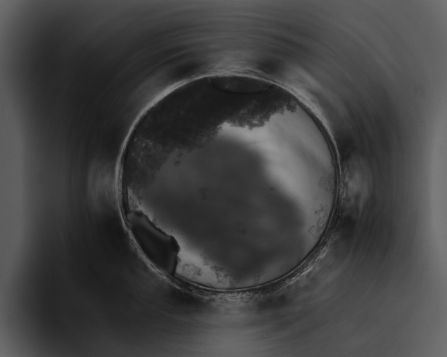 X0000095671053200801291133