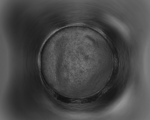 X0000095671054200801291133