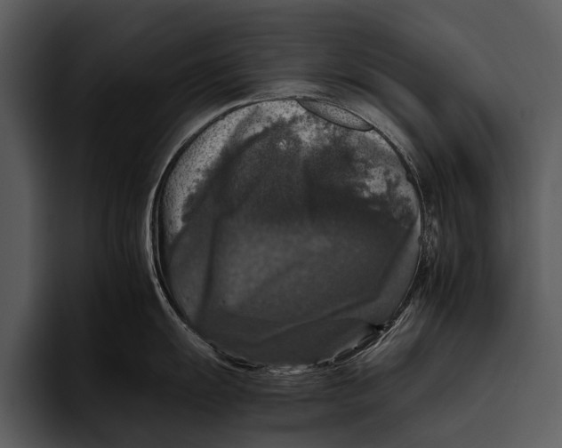 X0000095671055200801291133