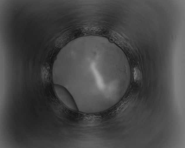 X0000095671059200801291132