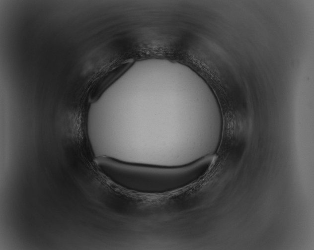 X0000095671060200801291132