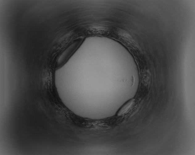 X0000095671061200801291132