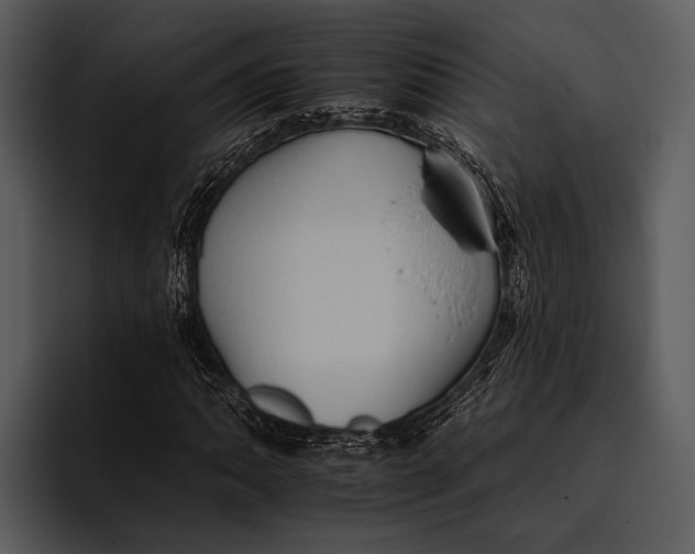 X0000095671062200801291132