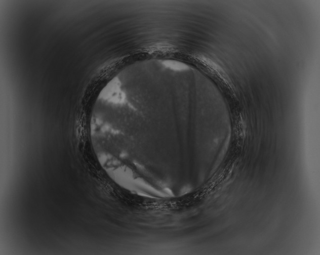 X0000095671063200801291132