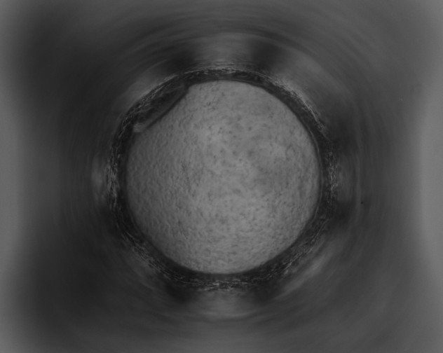 X0000095671064200801291132