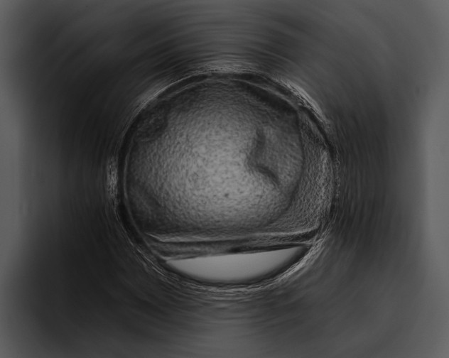 X0000095671065200801291132