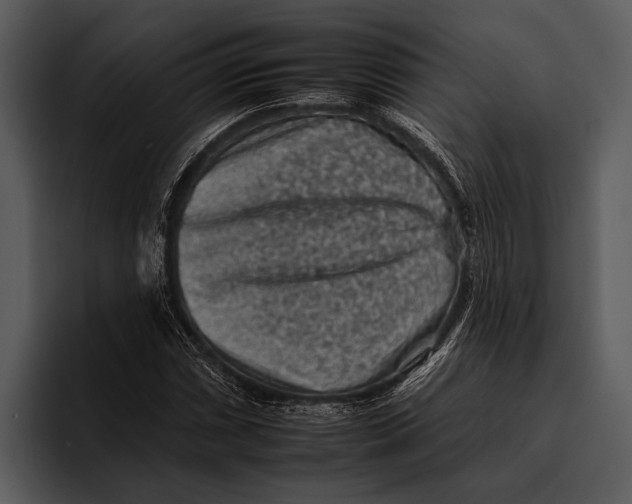 X0000095671066200801291132