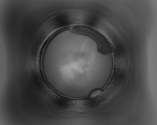 X0000095671068200801291132