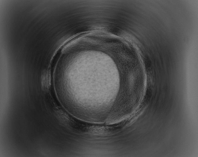 X0000095671069200801291132