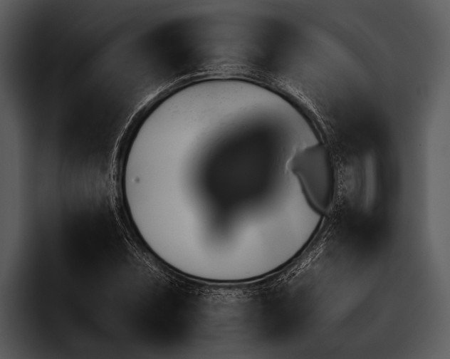 X0000095671071200801291132