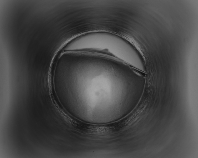 X0000095671072200801291132