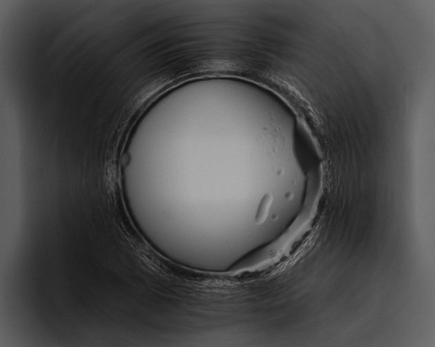 X0000095671073200801291132