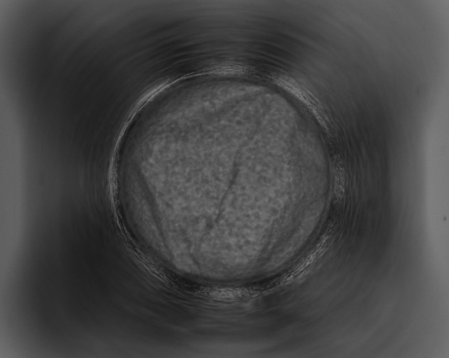 X0000095671074200801291132